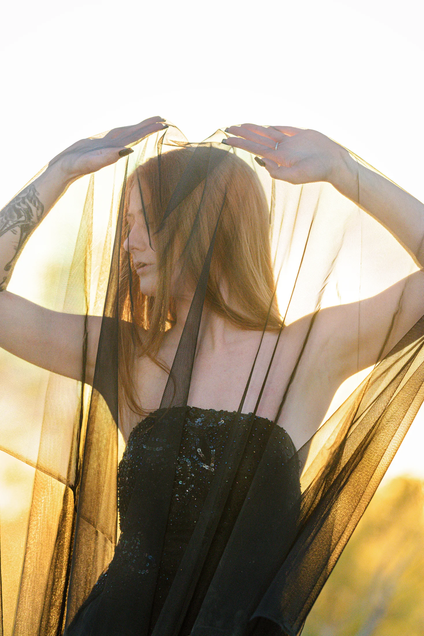 Sunlight passes through a black veil held above a figure, from the AVZ-45 photograph.
